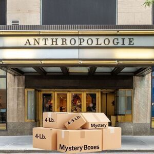 ANTHROPOLOGIE (MADEWELL FREE PEOPLE ETC.) Brand Clothing Accessory Handbag Bundl